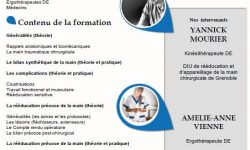 lésion tendineuses de la main